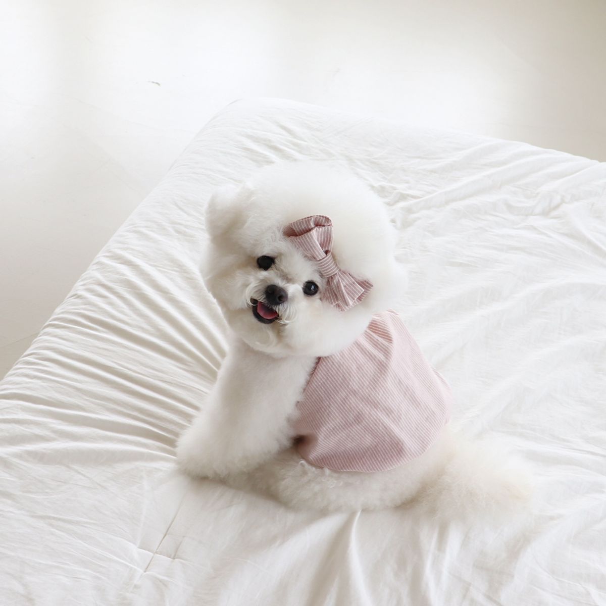 쉬오트(CHIOT) 베이비 벌룬 탑 (베이비핑크)
