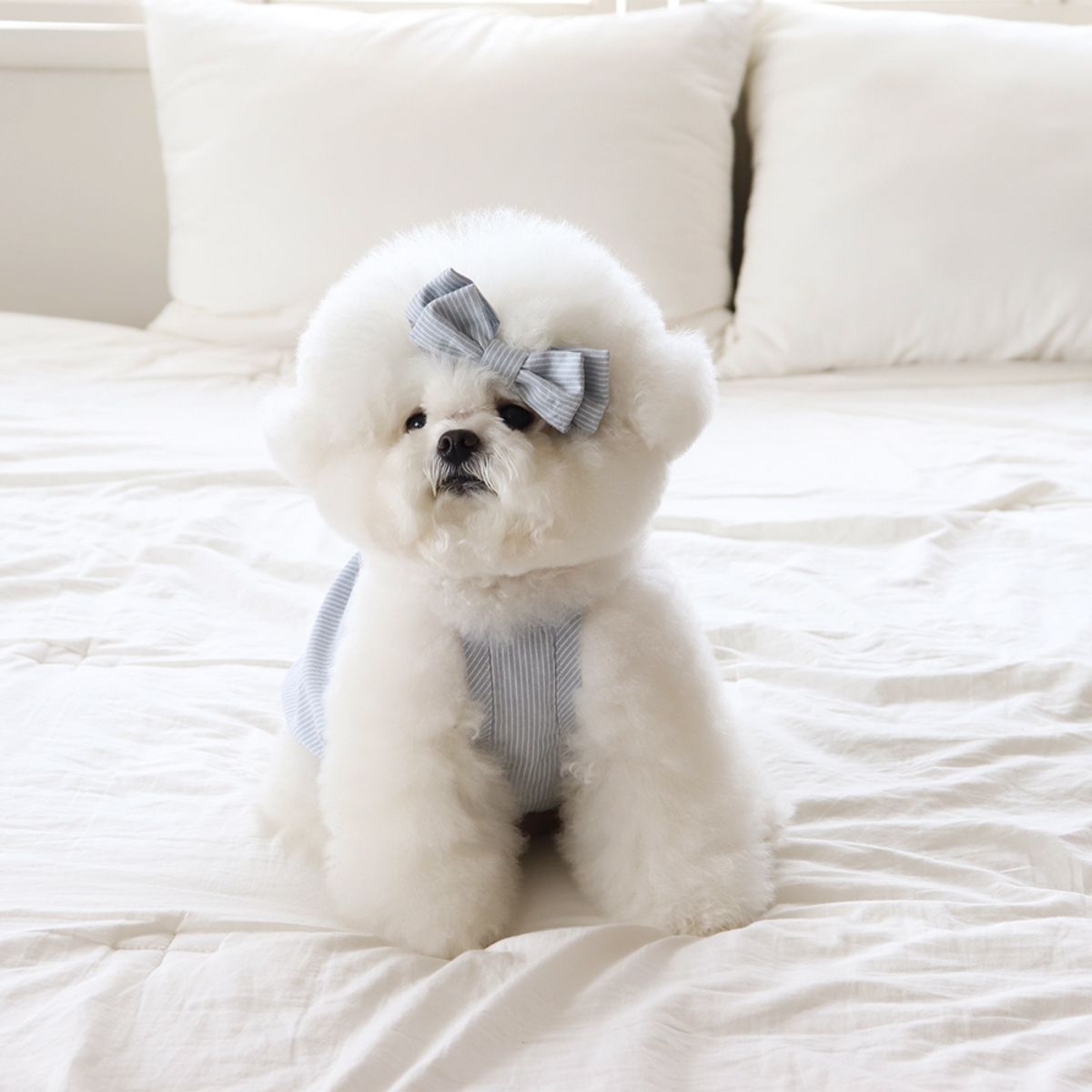 쉬오트(CHIOT) 베이비 벌룬 탑 (베이비블루)