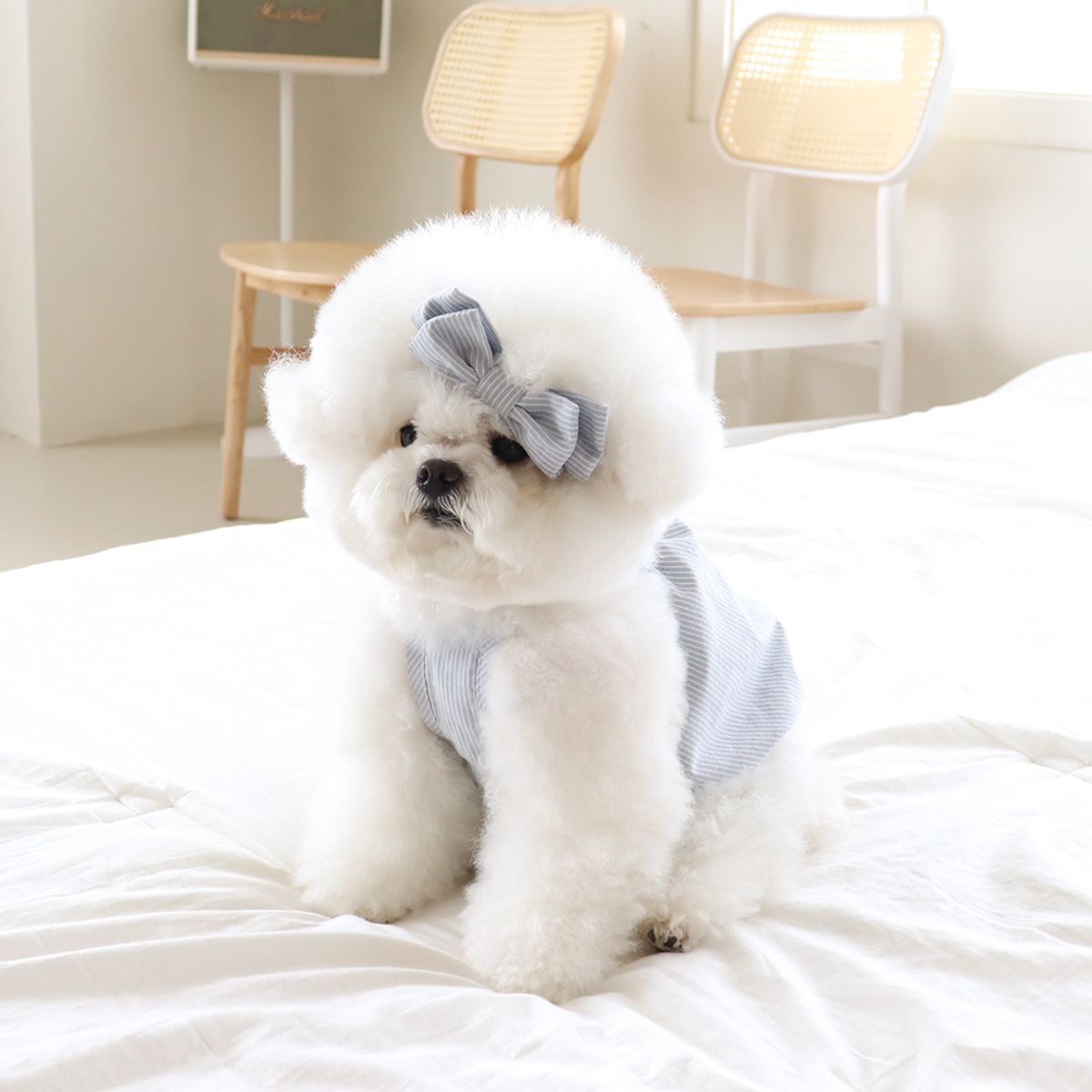 쉬오트(CHIOT) 베이비 벌룬 탑 (베이비블루)