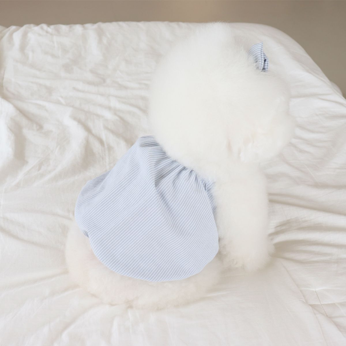 쉬오트(CHIOT) 베이비 벌룬 탑 (베이비블루)