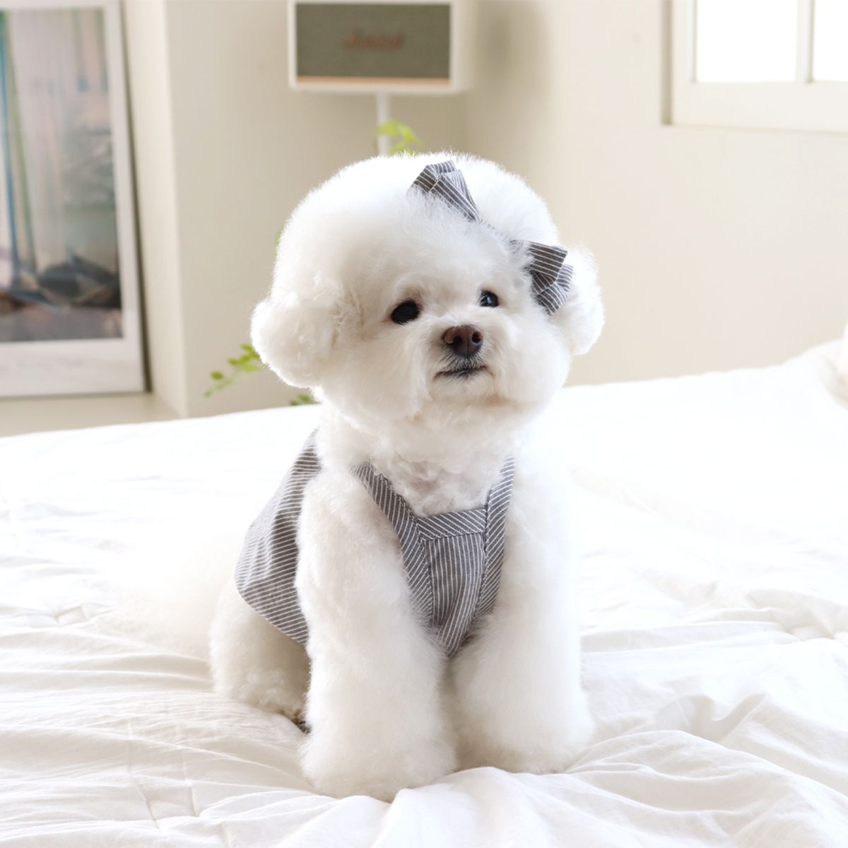 쉬오트(CHIOT) 베이비 벌룬 탑 (차콜)