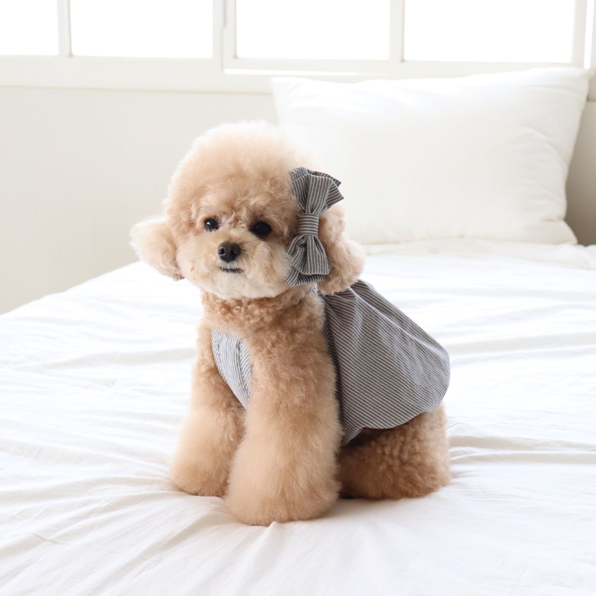 쉬오트(CHIOT) 베이비 벌룬 탑 (차콜)