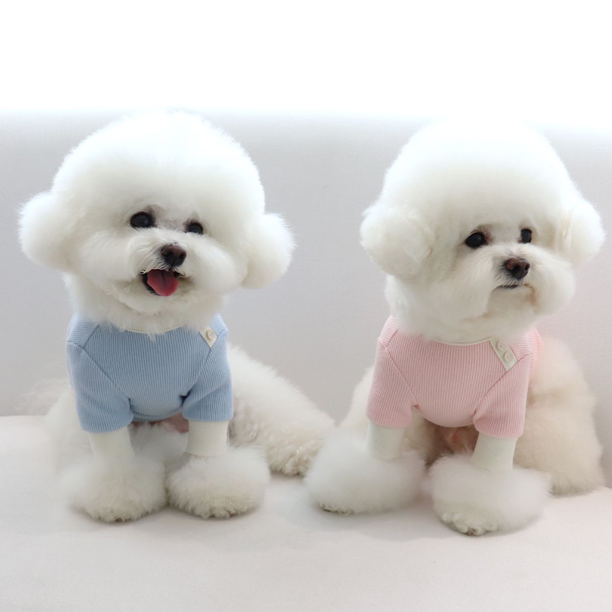쉬오트(CHIOT) 쉬오트 샤베트 와플 티셔츠 (스트로베리)