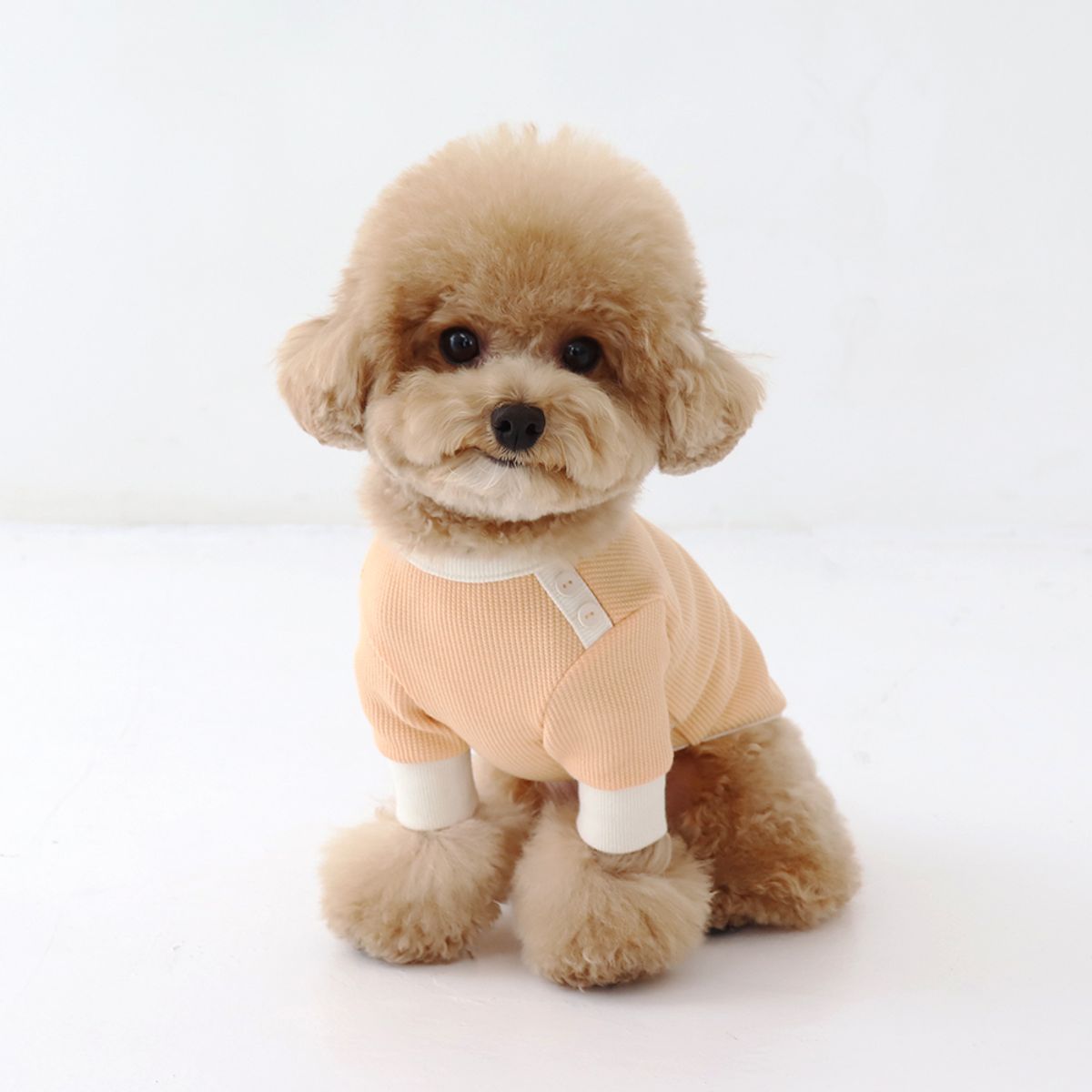 쉬오트(CHIOT) 쉬오트 샤베트 와플 티셔츠 (오렌지)