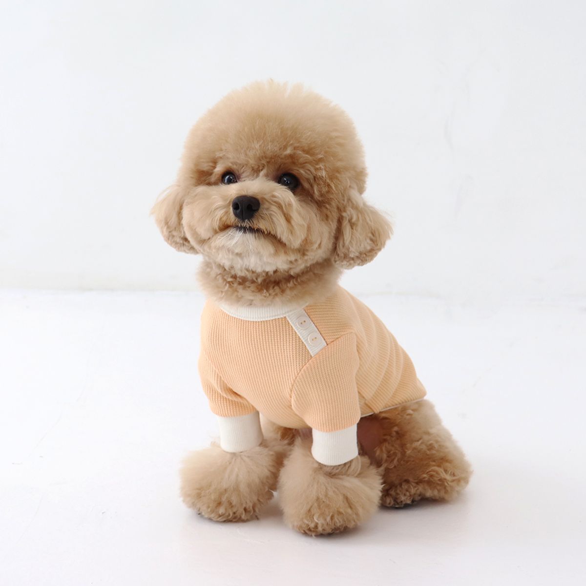 쉬오트(CHIOT) 쉬오트 샤베트 와플 티셔츠 (오렌지)