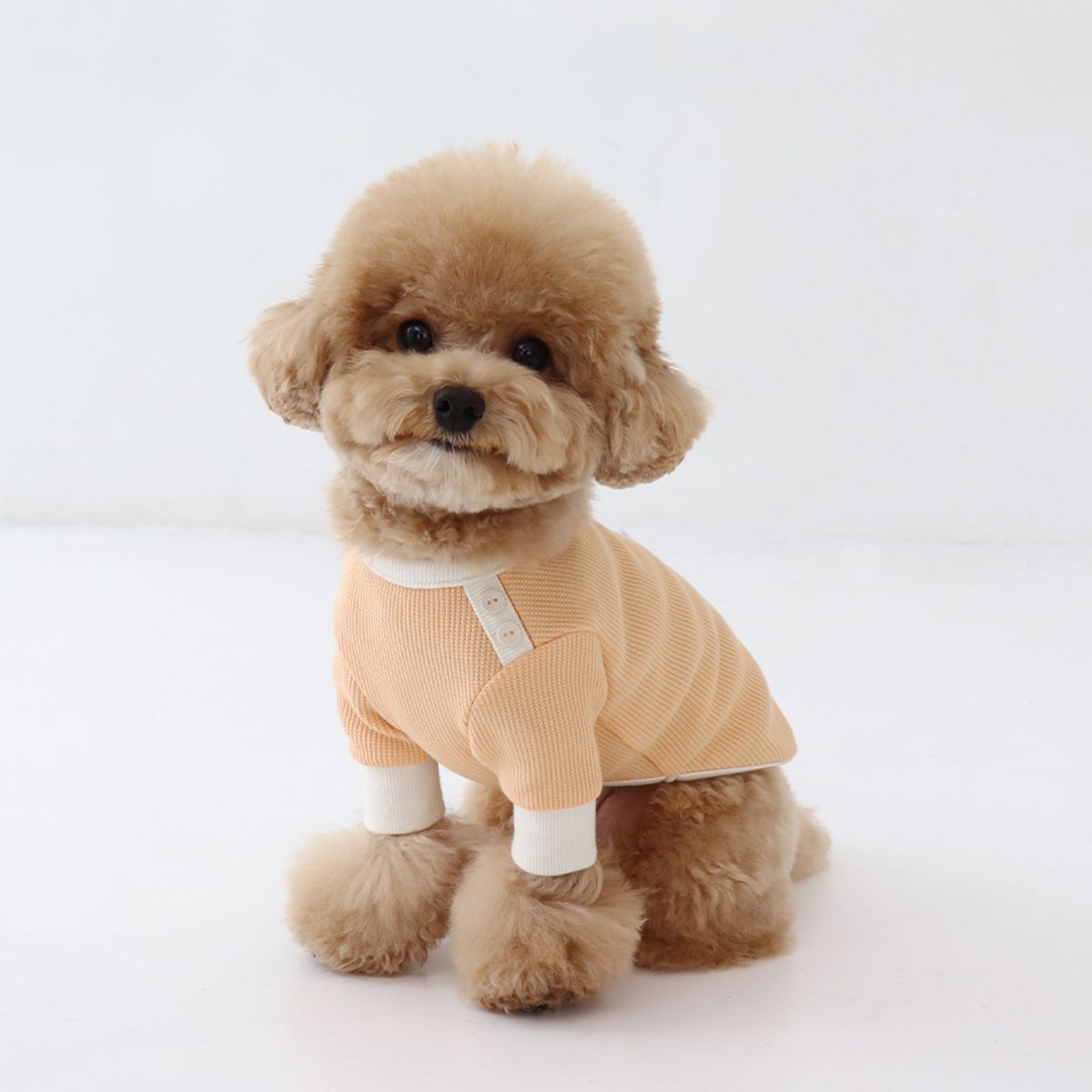 쉬오트(CHIOT) 쉬오트 샤베트 와플 티셔츠 (오렌지)