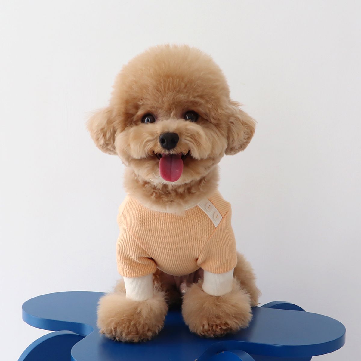 쉬오트(CHIOT) 쉬오트 샤베트 와플 티셔츠 (오렌지)