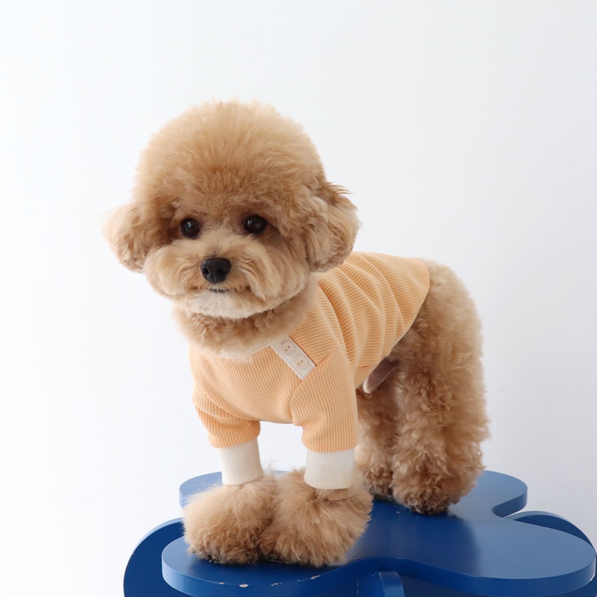 쉬오트(CHIOT) 쉬오트 샤베트 와플 티셔츠 (오렌지)