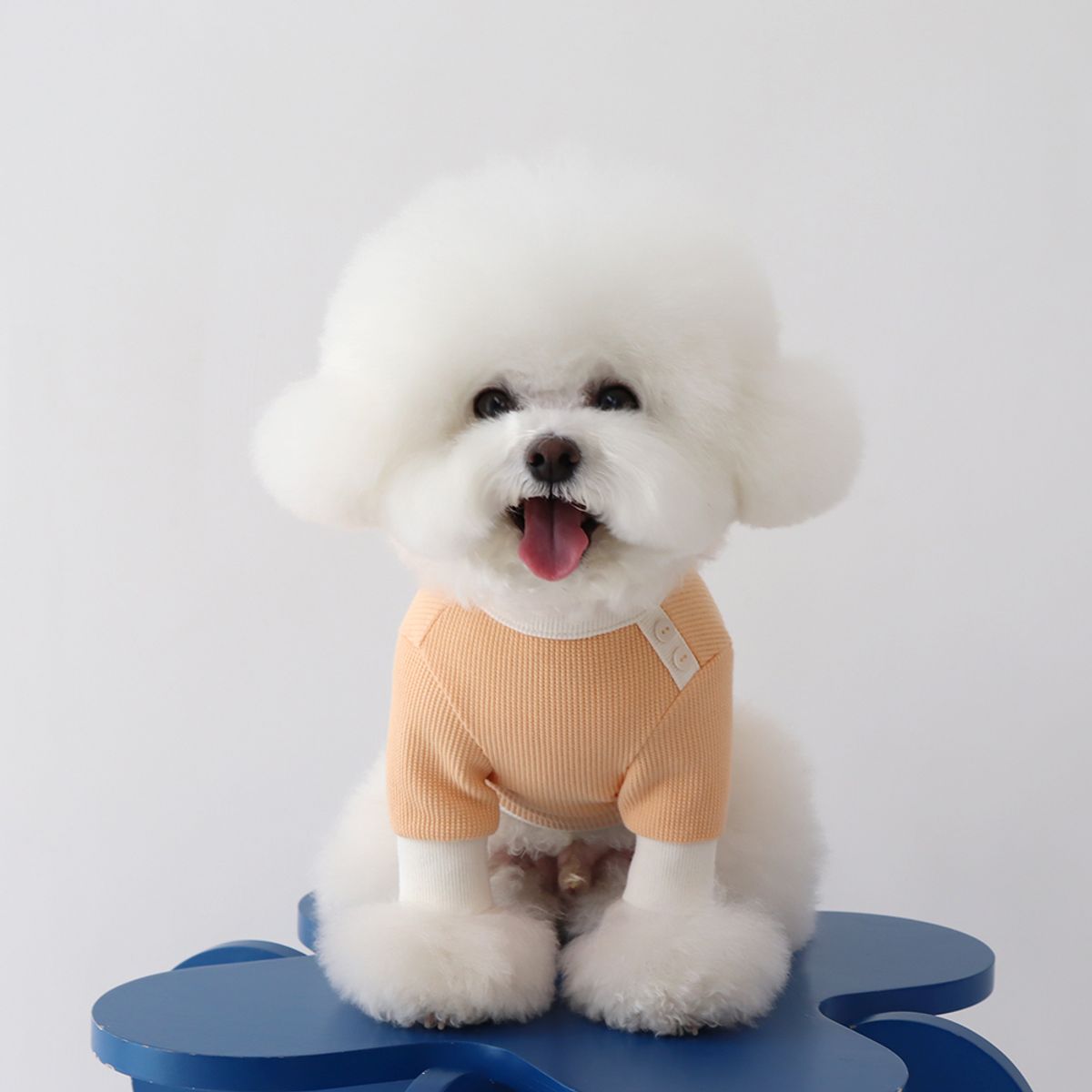 쉬오트(CHIOT) 쉬오트 샤베트 와플 티셔츠 (오렌지)