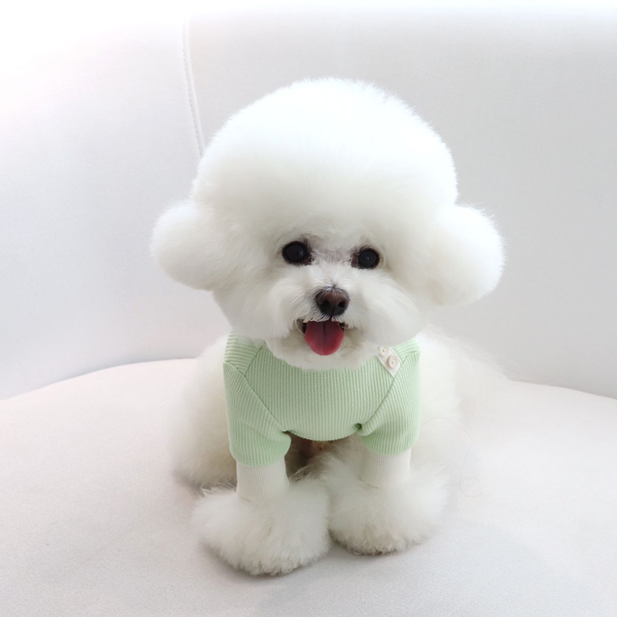 쉬오트(CHIOT) 쉬오트 샤베트 와플 티셔츠 (멜론그린)