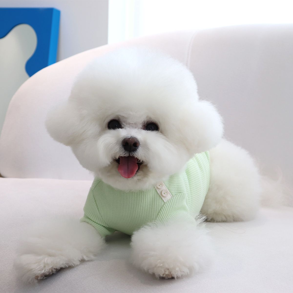 쉬오트(CHIOT) 쉬오트 샤베트 와플 티셔츠 (멜론그린)
