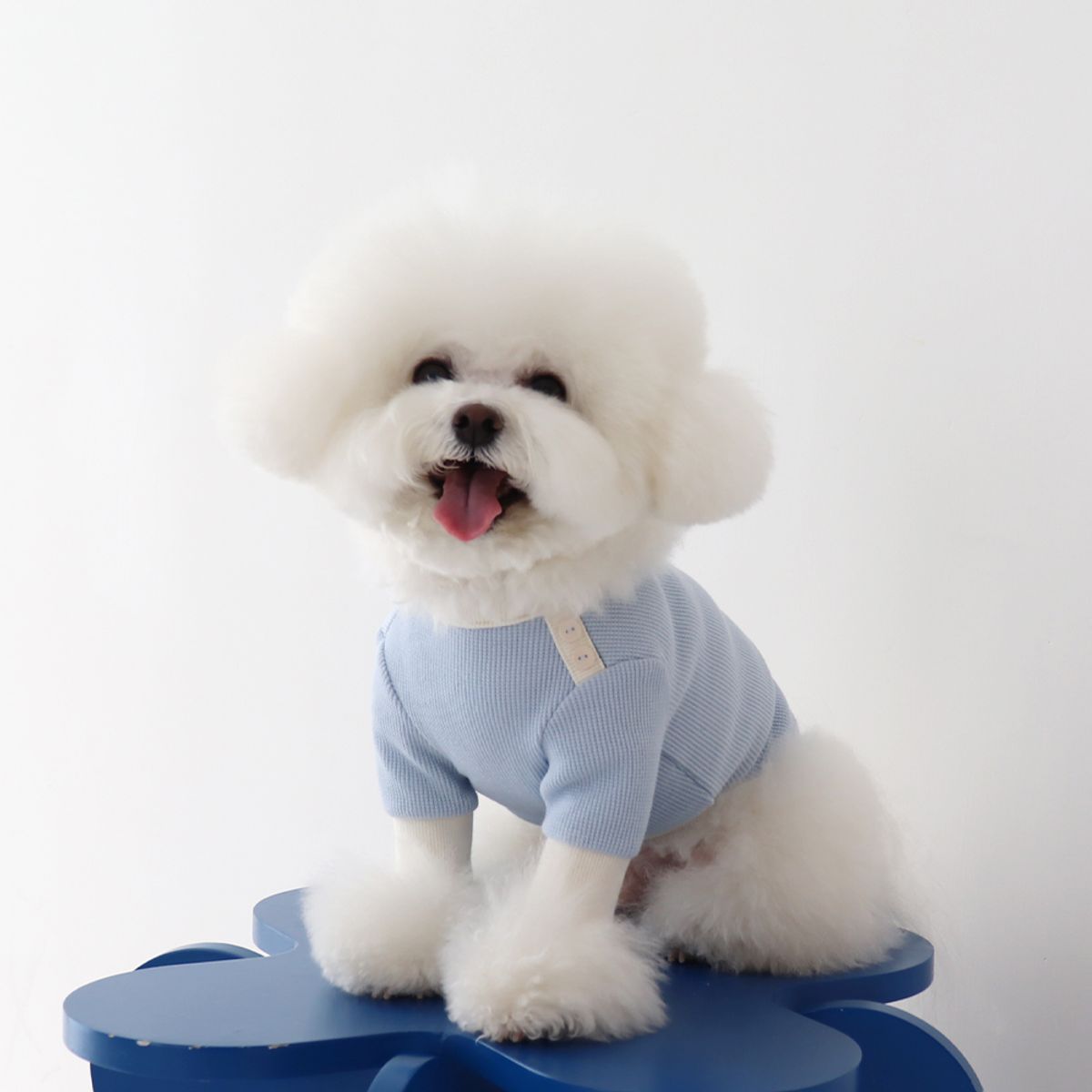 쉬오트(CHIOT) 쉬오트 샤베트 와플 티셔츠 (블루소다)