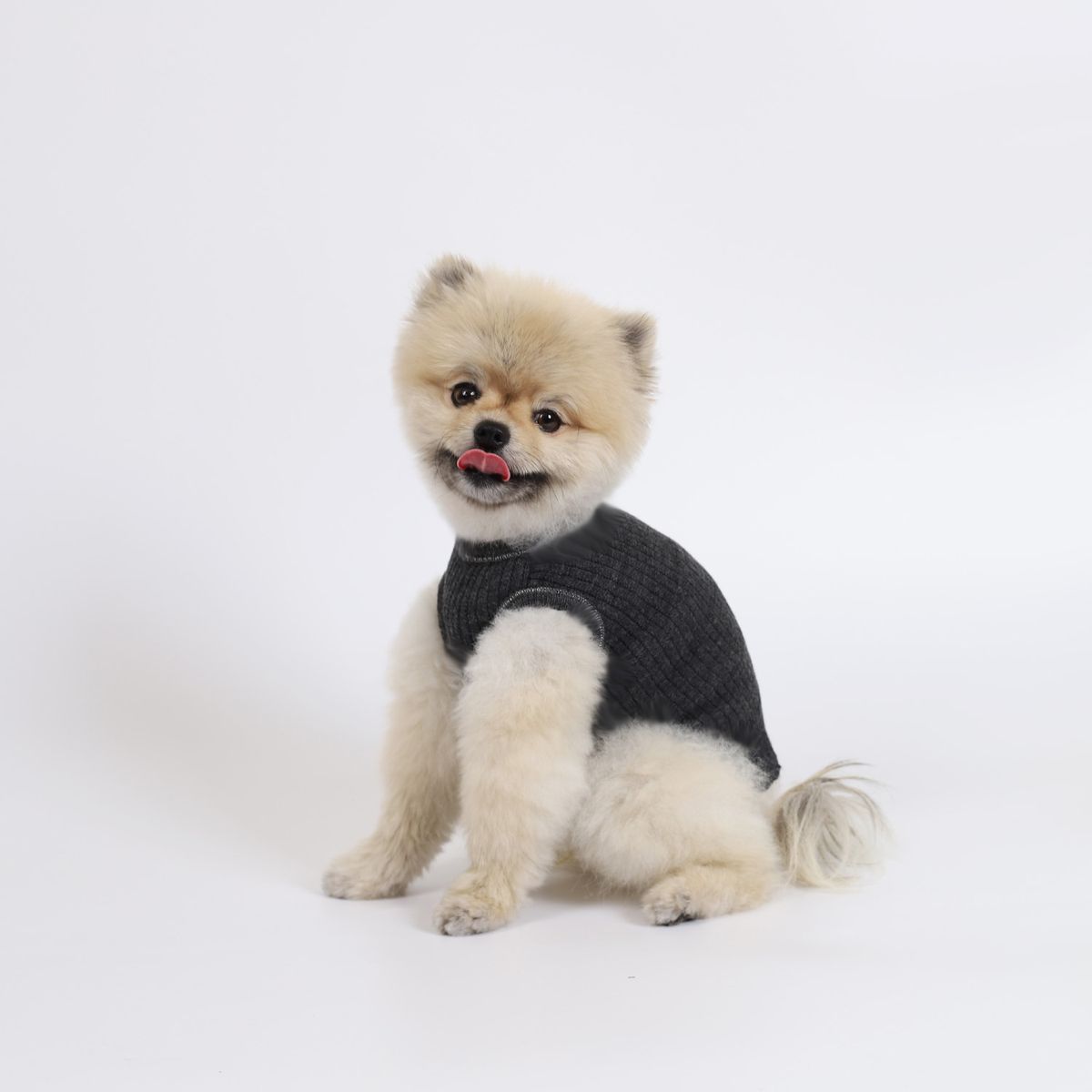 몽루(MONLOUP) 에피 윈터