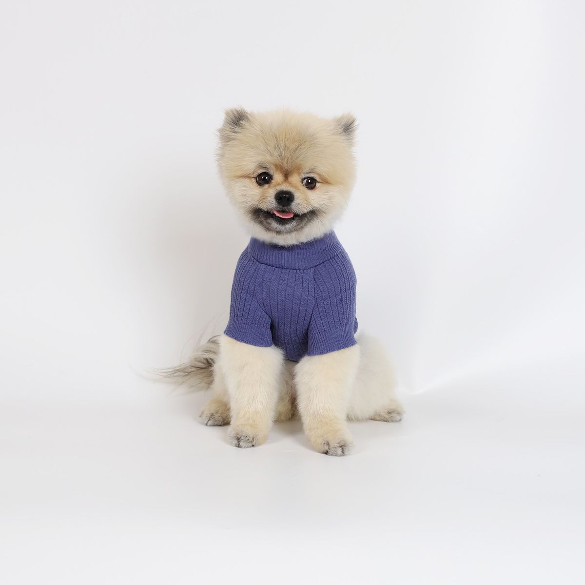 몽루(MONLOUP) 시프레