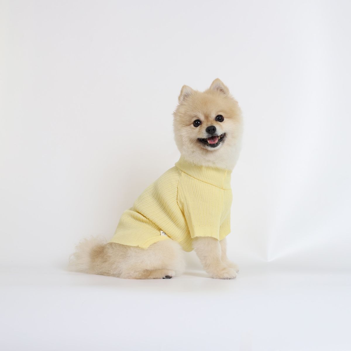 몽루(MONLOUP) 시프레