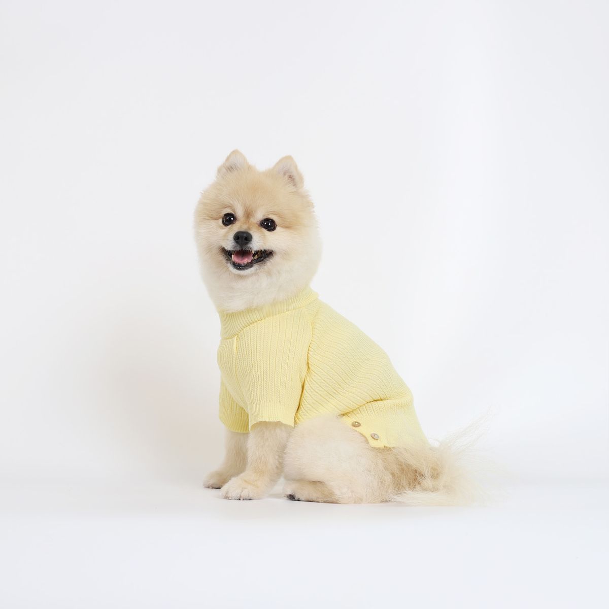 몽루(MONLOUP) 시프레