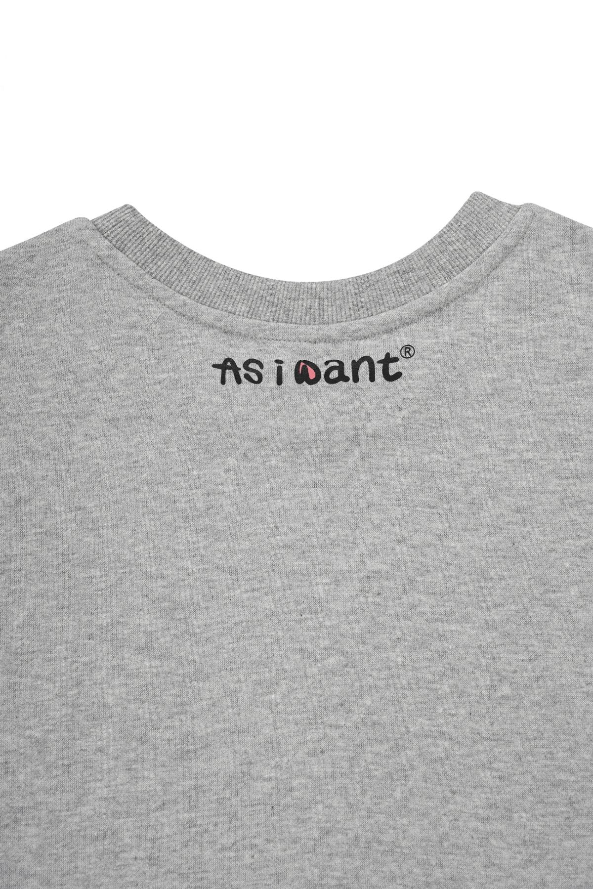 에즈아이원(ASIWANT) INSB LONG SLEEVE ROUND T-SHIRT GREY