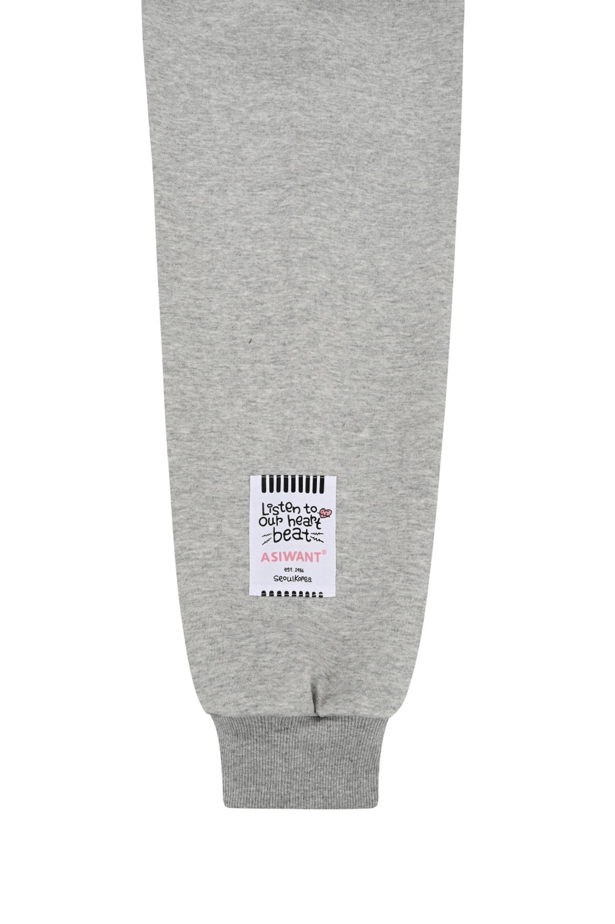 에즈아이원(ASIWANT) SKELETON HOODIE GREY
