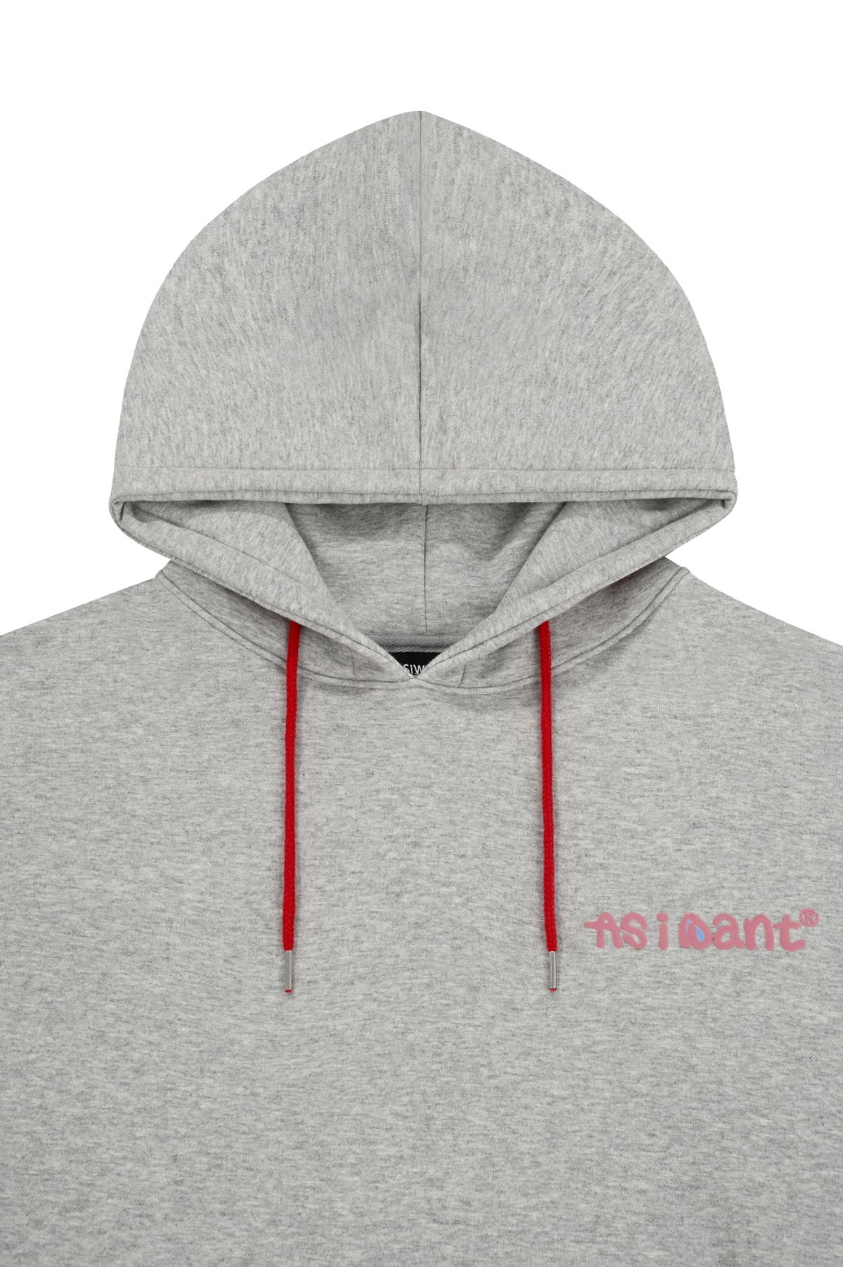 에즈아이원(ASIWANT) SKELETON HOODIE GREY