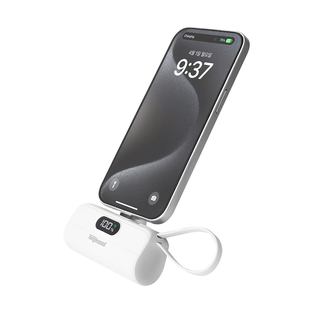 탱글우드(TANGLEWOOD) 도킹 보조배터리 LED 고속충전 C타입 with 라이트닝 케이블 5,000mAh