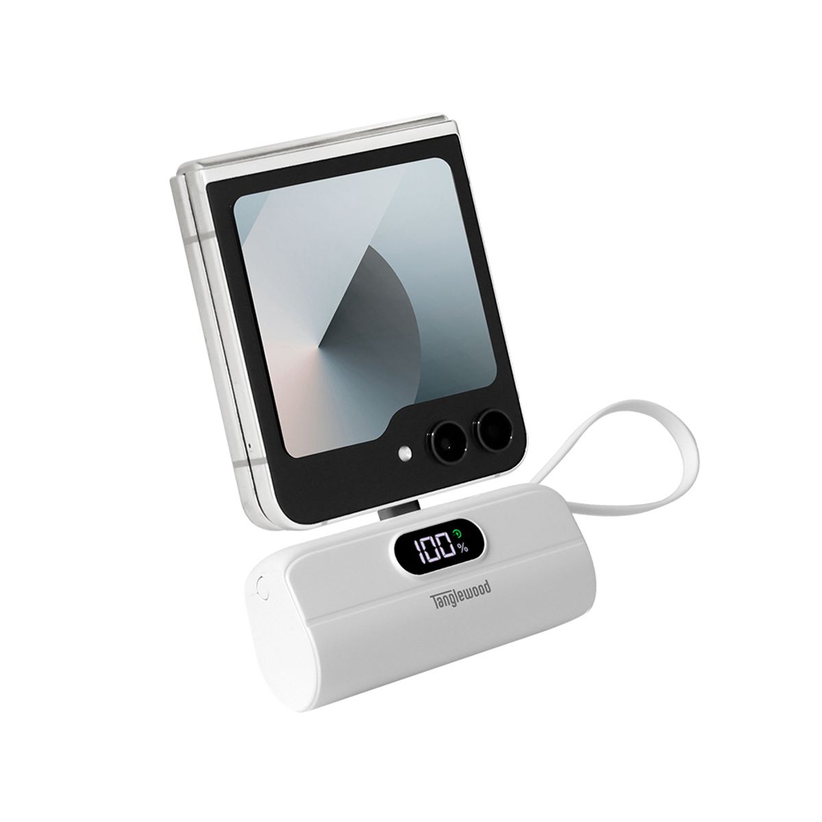 탱글우드(TANGLEWOOD) 도킹 보조배터리 LED 고속충전 C타입 with 라이트닝 케이블 5,000mAh