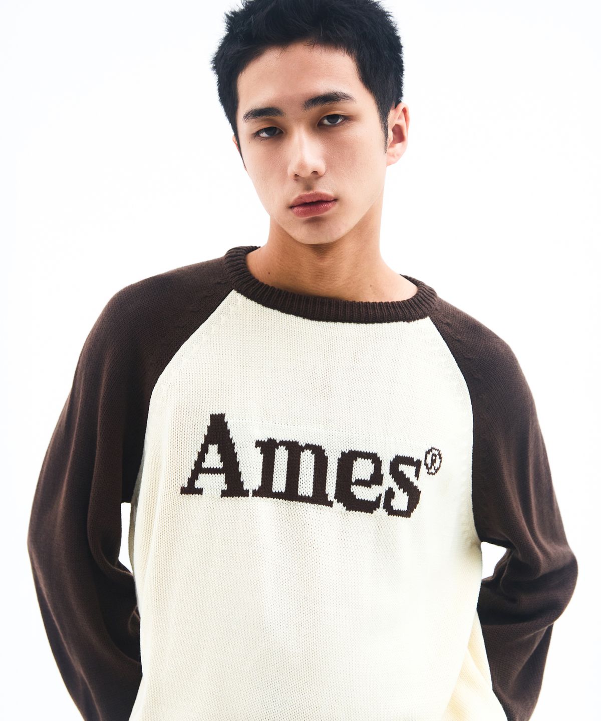 아메스 월드와이드(AMES-WORLDWIDE) BASIC RAGLAN PULLOVER KNIT BROWN