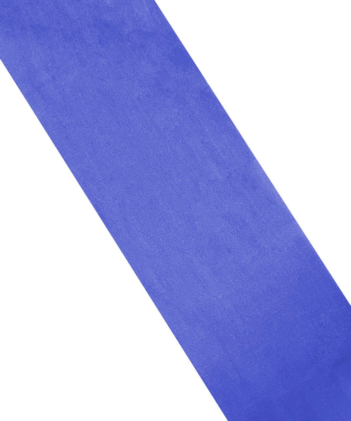 로맨틱타이거(ROMANTIC TIGER) color sheer tights (blue)