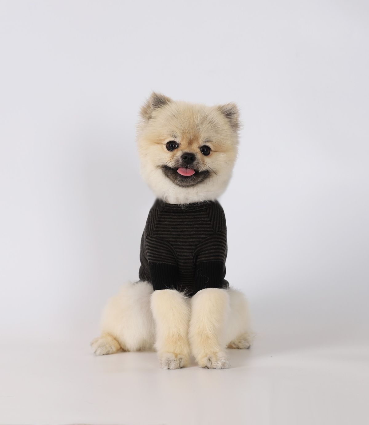 몽루(MONLOUP) 파인트리