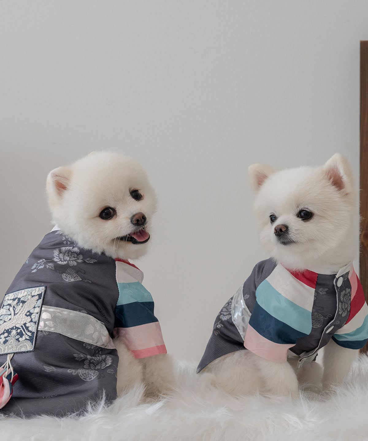 슈퍼펫(SUPERPET) 강아지 봉황단 한복 그레이