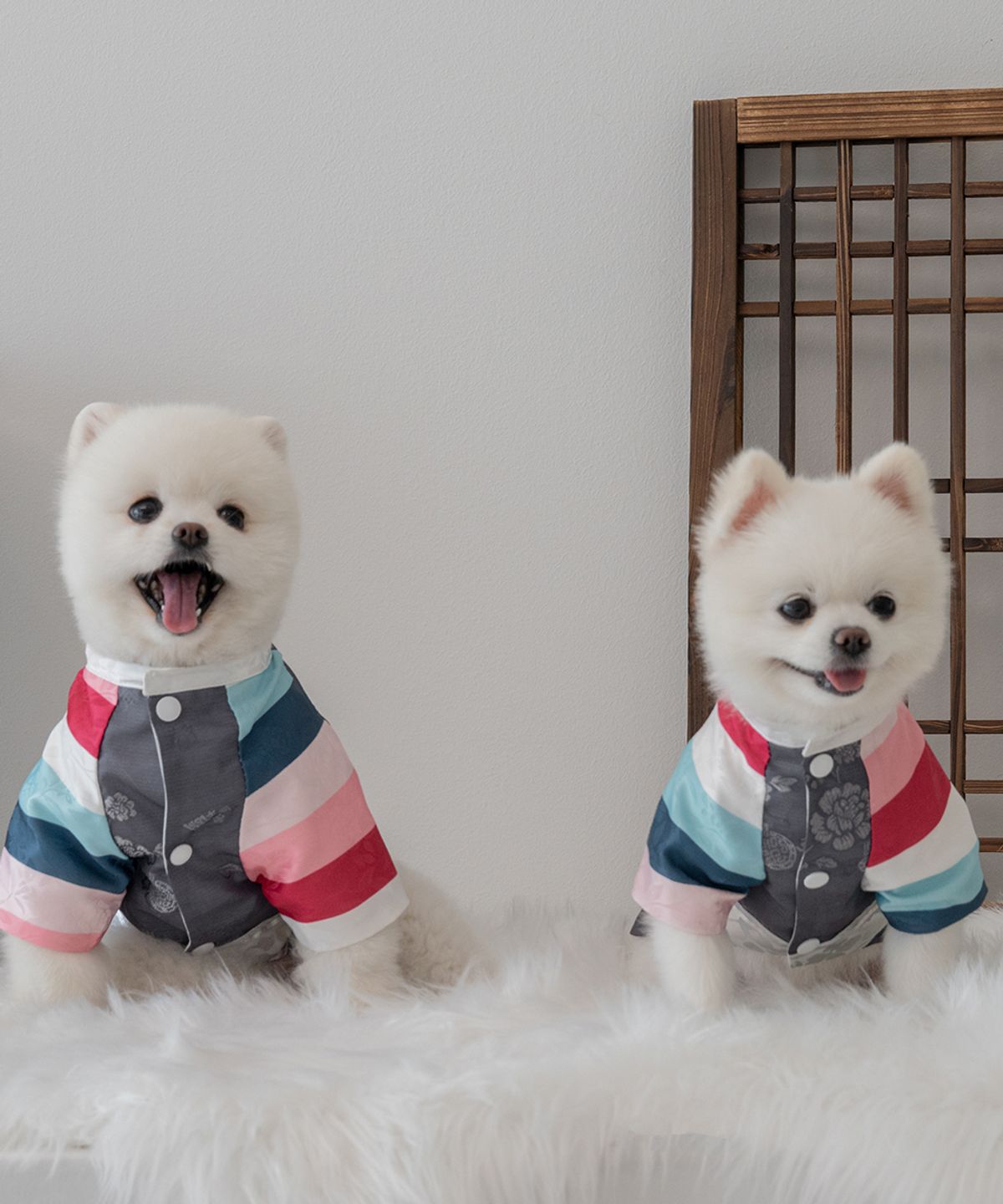 슈퍼펫(SUPERPET) 강아지 봉황단 한복 그레이