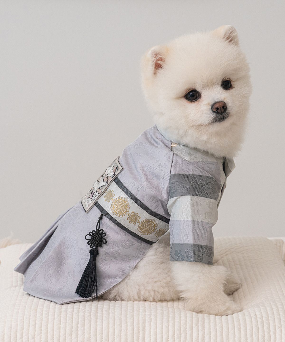 베일리(BAILEY) 강아지 설날 항균 서후왕자 한복 은빛