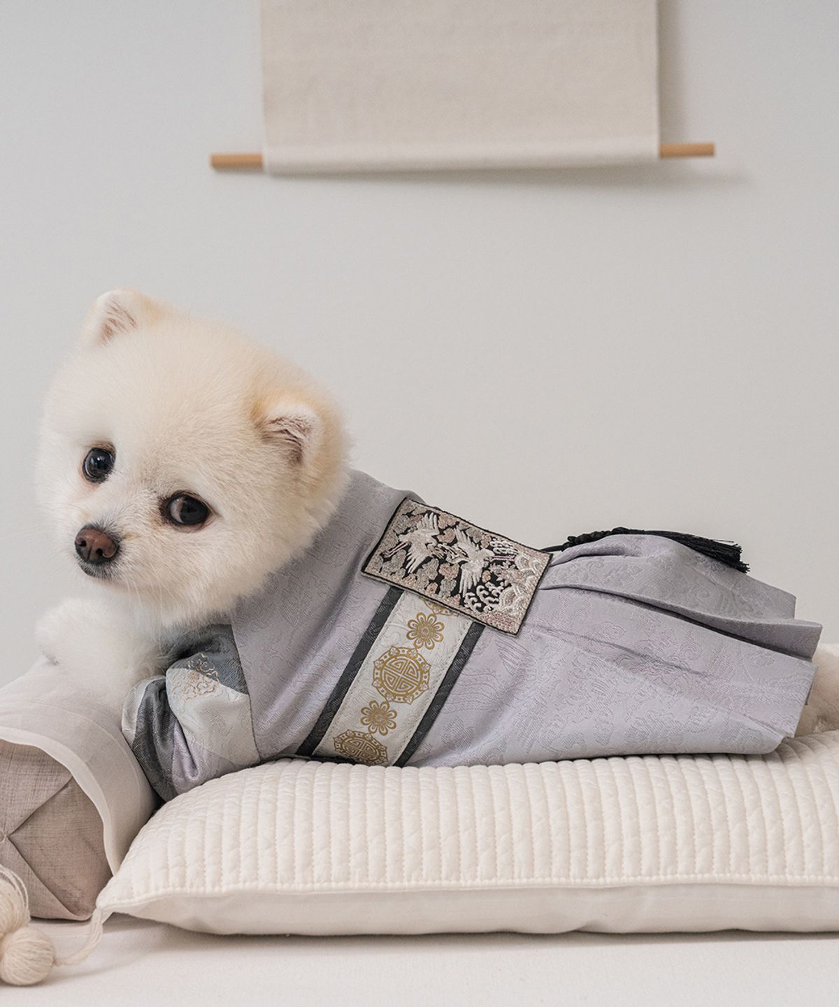 베일리(BAILEY) 강아지 설날 항균 서후왕자 한복 은빛