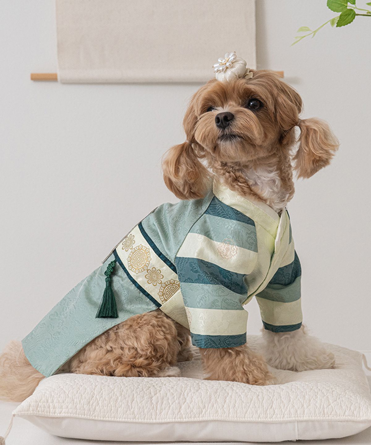 베일리(BAILEY) 강아지 설날 항균 서후왕자 한복 초록빛