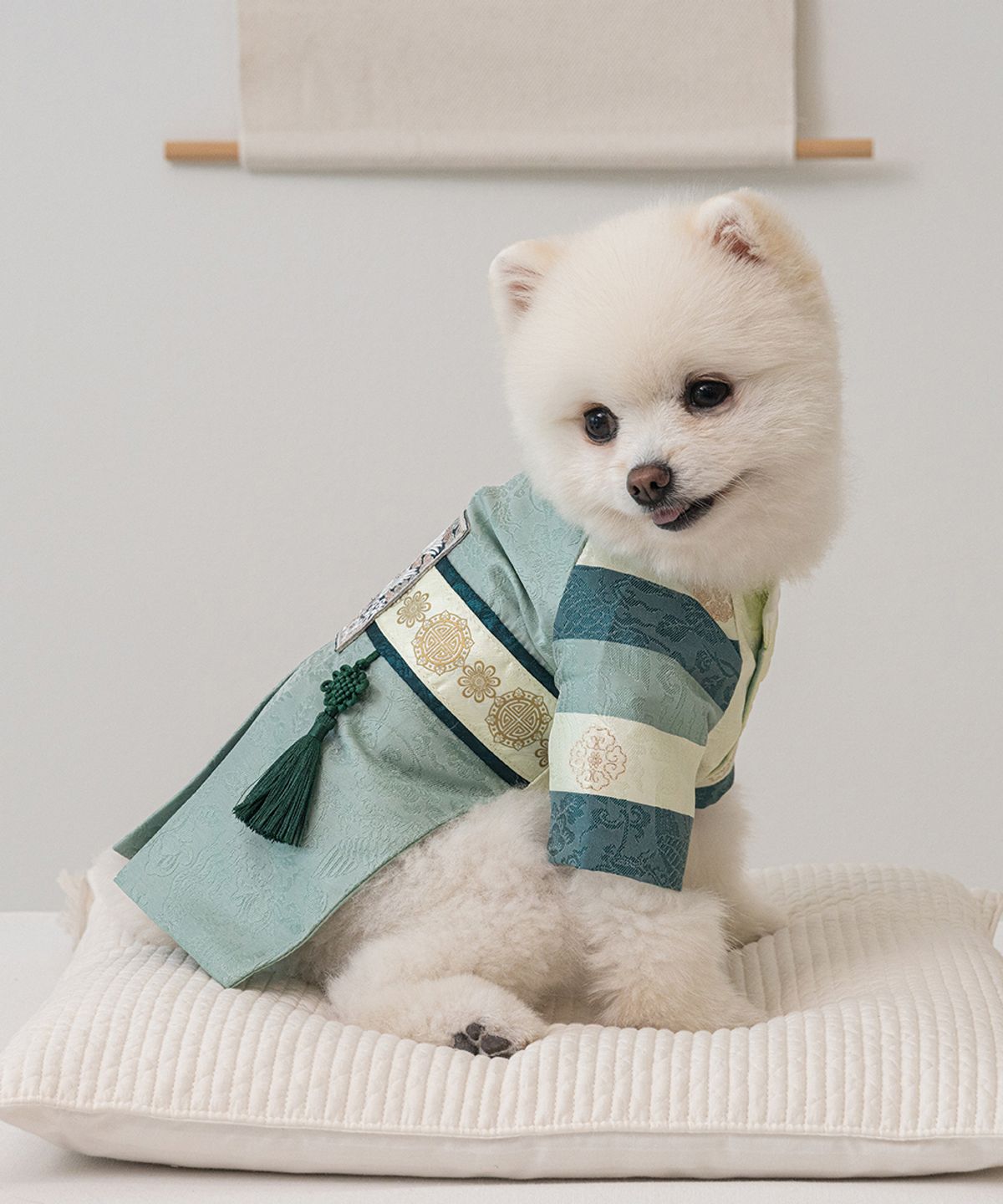 베일리(BAILEY) 강아지 설날 항균 서후왕자 한복 초록빛