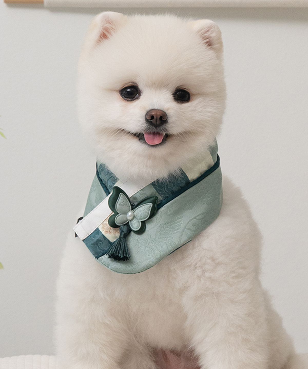 베일리(BAILEY) 강아지 명절 다온 한복 케이프 초록빛