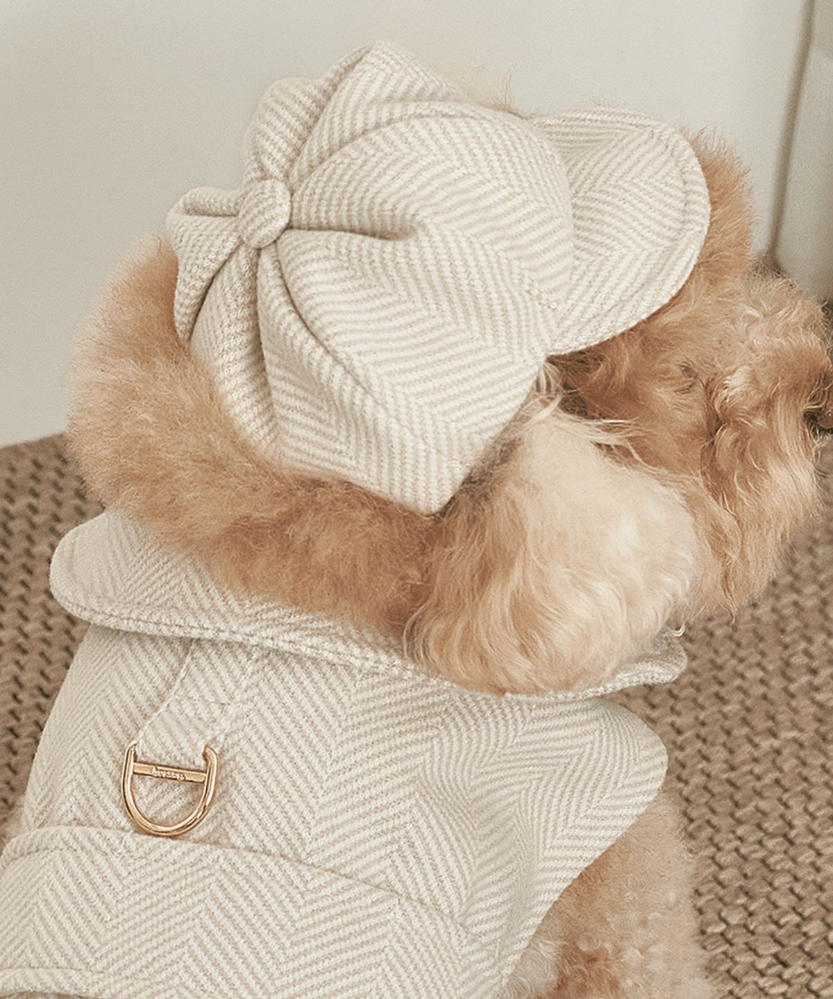 베일리(BAILEY) 강아지 모자 해링본 헌팅캡 아이보리