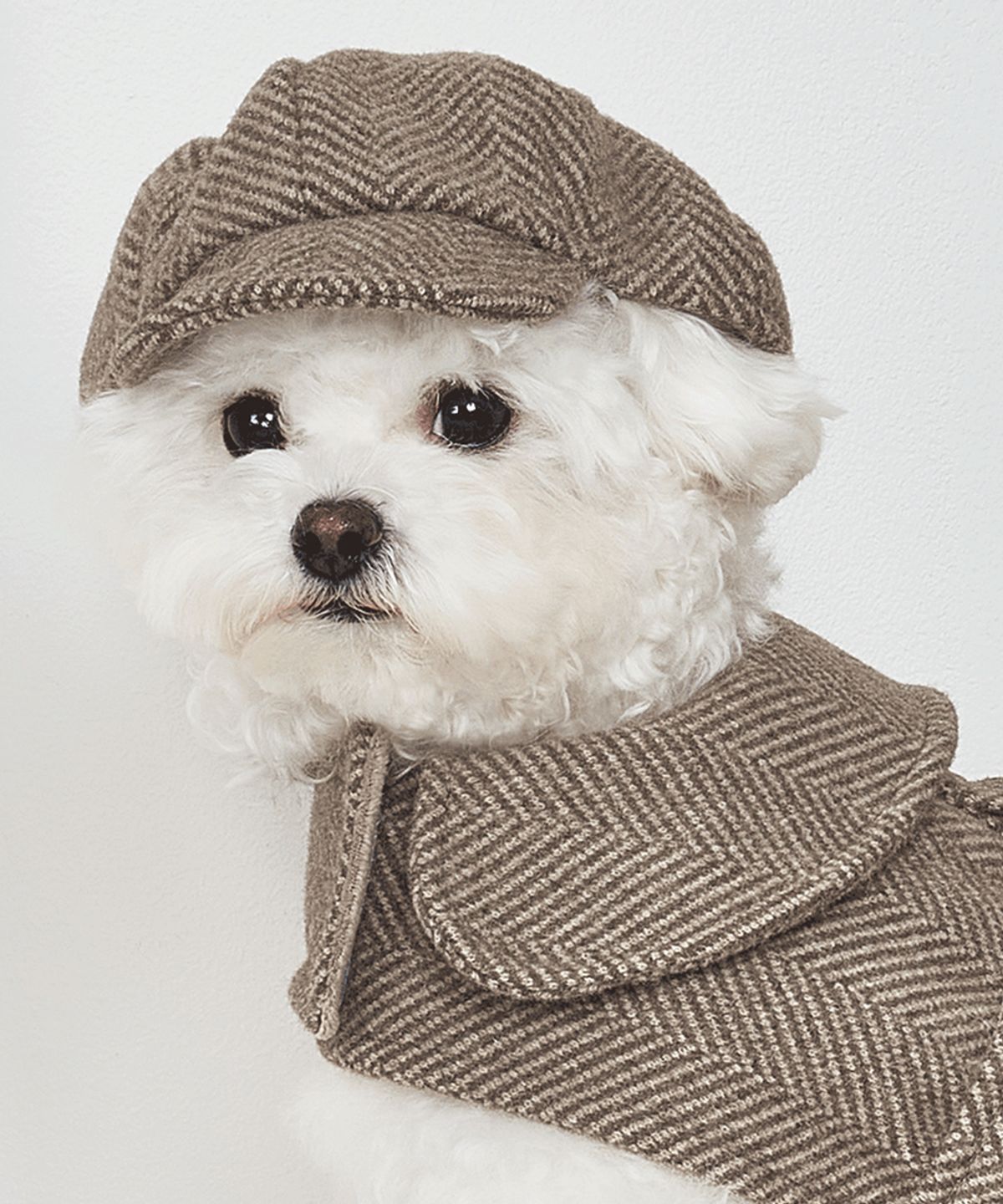 베일리(BAILEY) 강아지 모자 해링본 헌팅캡 브라운