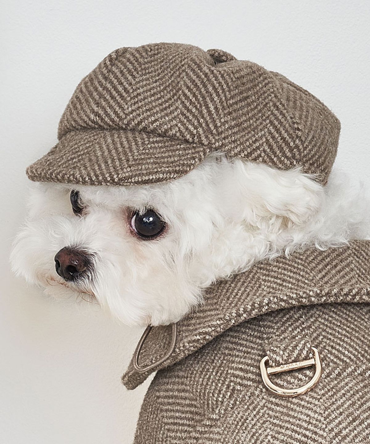 베일리(BAILEY) 강아지 모자 해링본 헌팅캡 브라운
