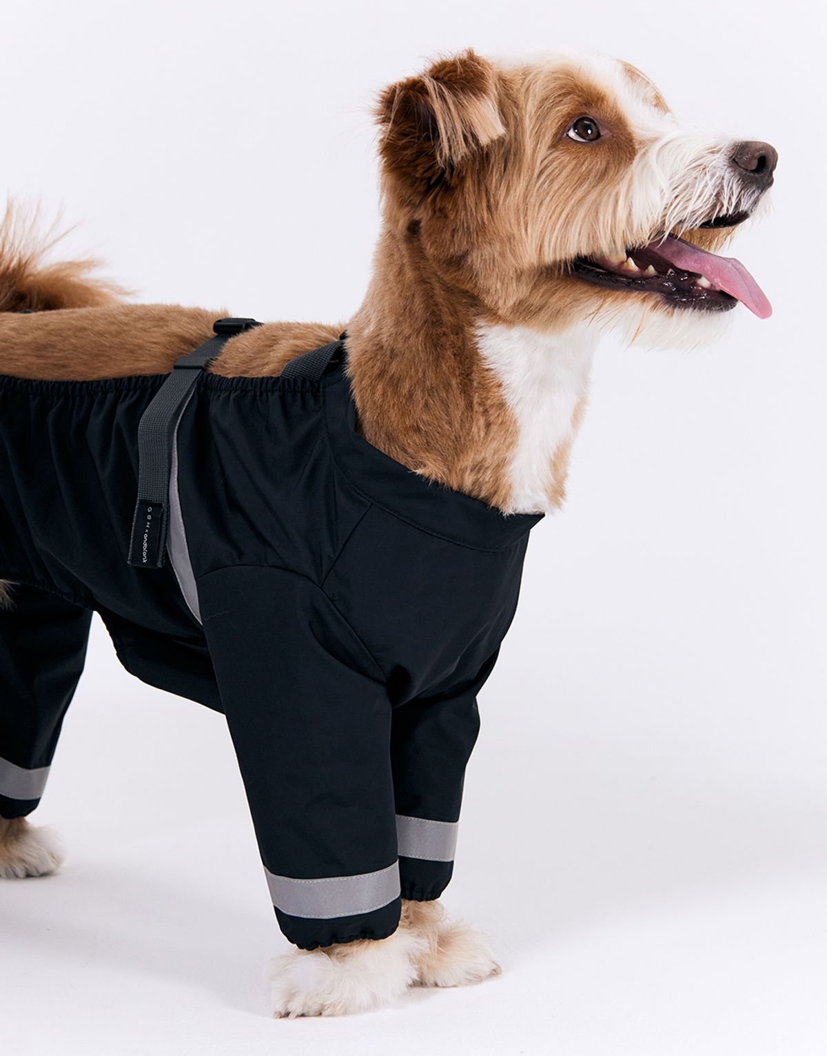 지비에이치 홈(GBH HOME) X ANDBLANK PET BODYSUIT 바디수트