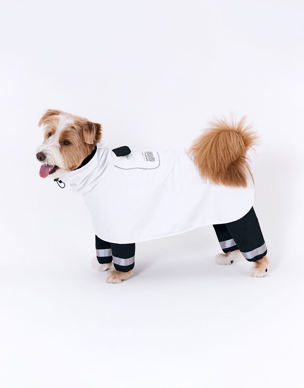 지비에이치 홈(GBH HOME) X ANDBLANK PET RAINCOAT & BODYSUIT SET 레인코트&바디수트 세트