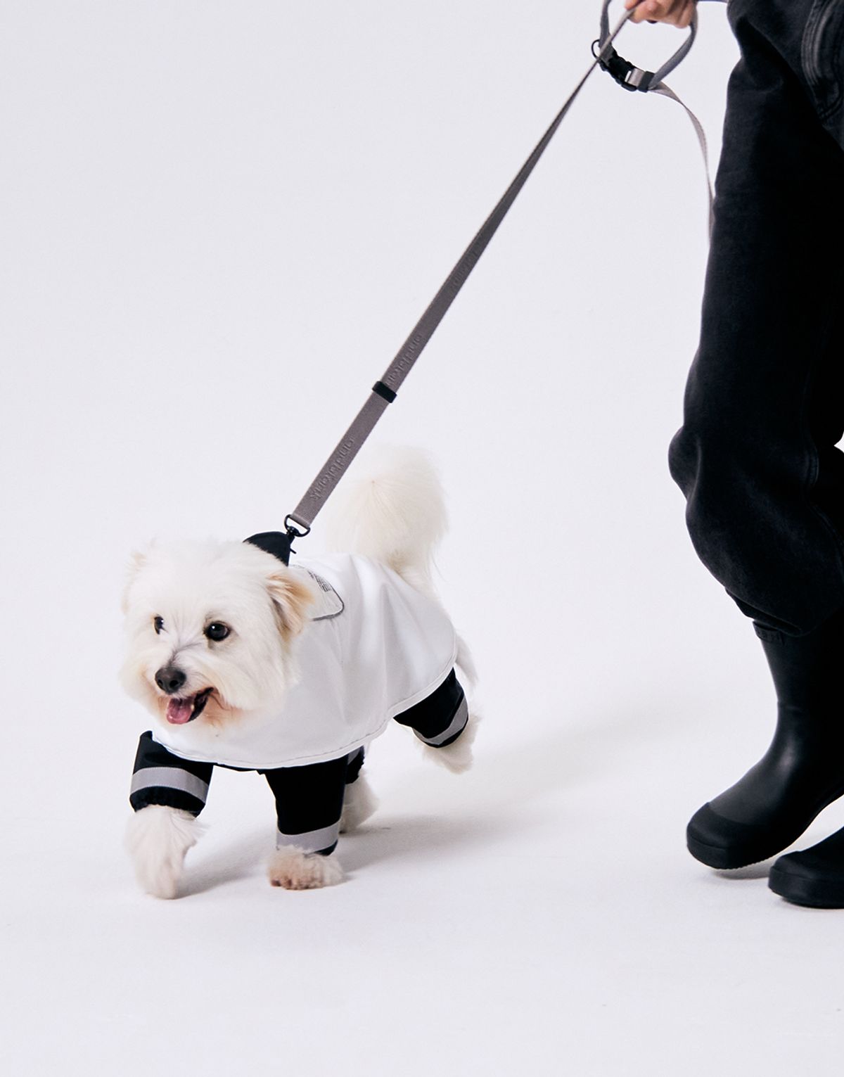 지비에이치 홈(GBH HOME) X ANDBLANK PET RAINCOAT & BODYSUIT SET 레인코트&바디수트 세트
