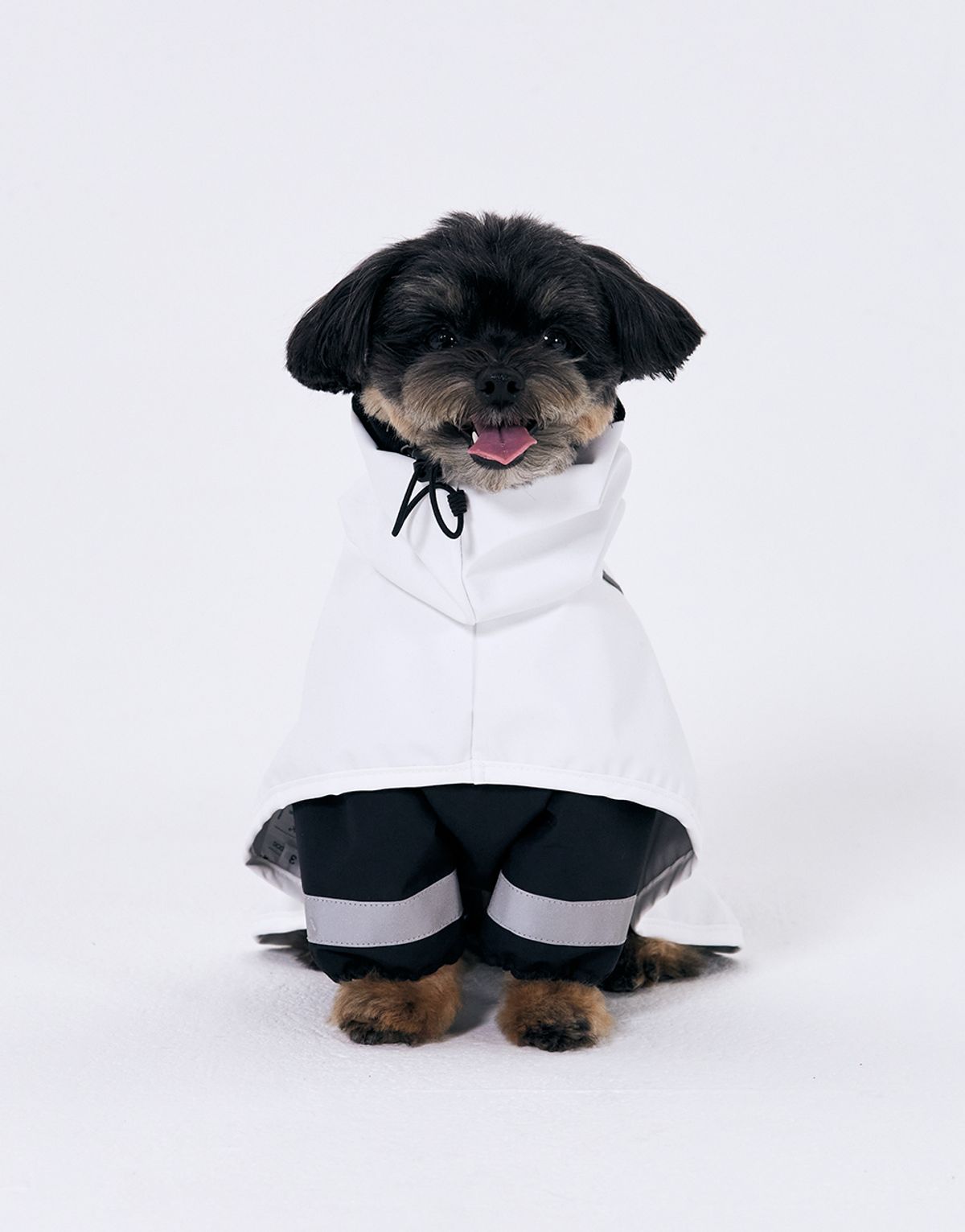 지비에이치 홈(GBH HOME) X ANDBLANK PET RAINCOAT & BODYSUIT SET 레인코트&바디수트 세트