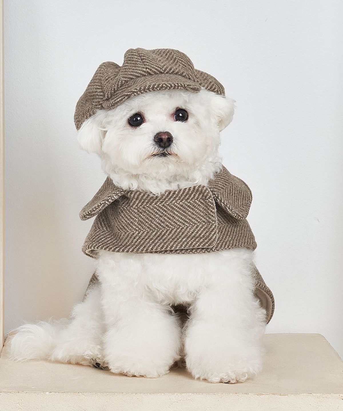 베일리(BAILEY) 강아지하네스옷 해링본 포켓코트 브라운