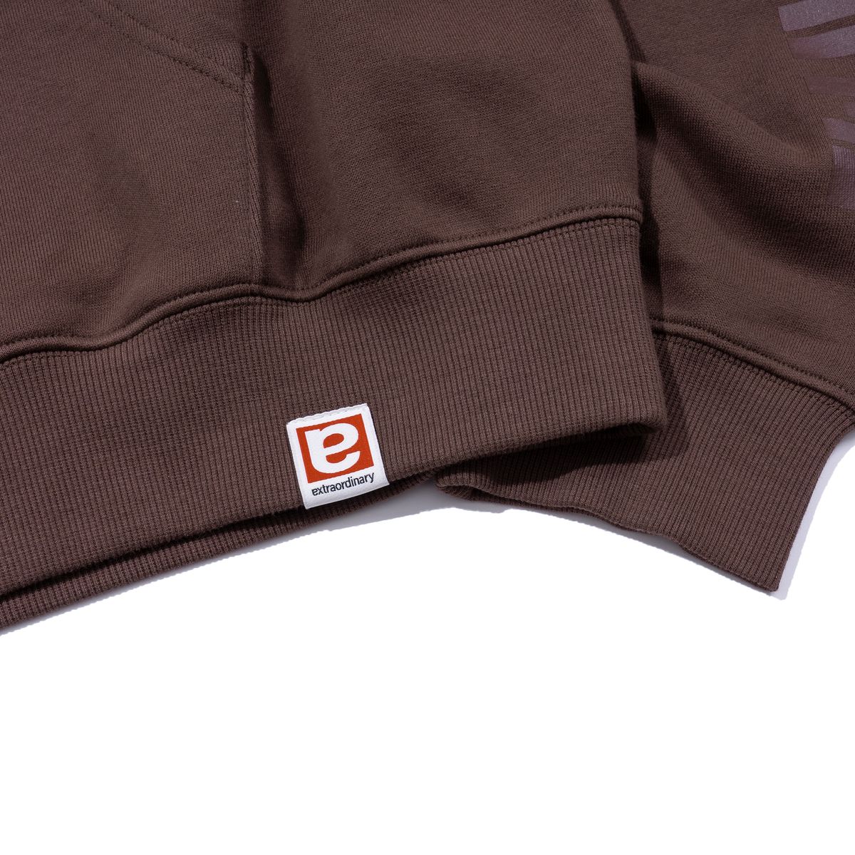 엑스트라오디너리(EXTRAORDINARY) BEATS HOODIE  BROWN