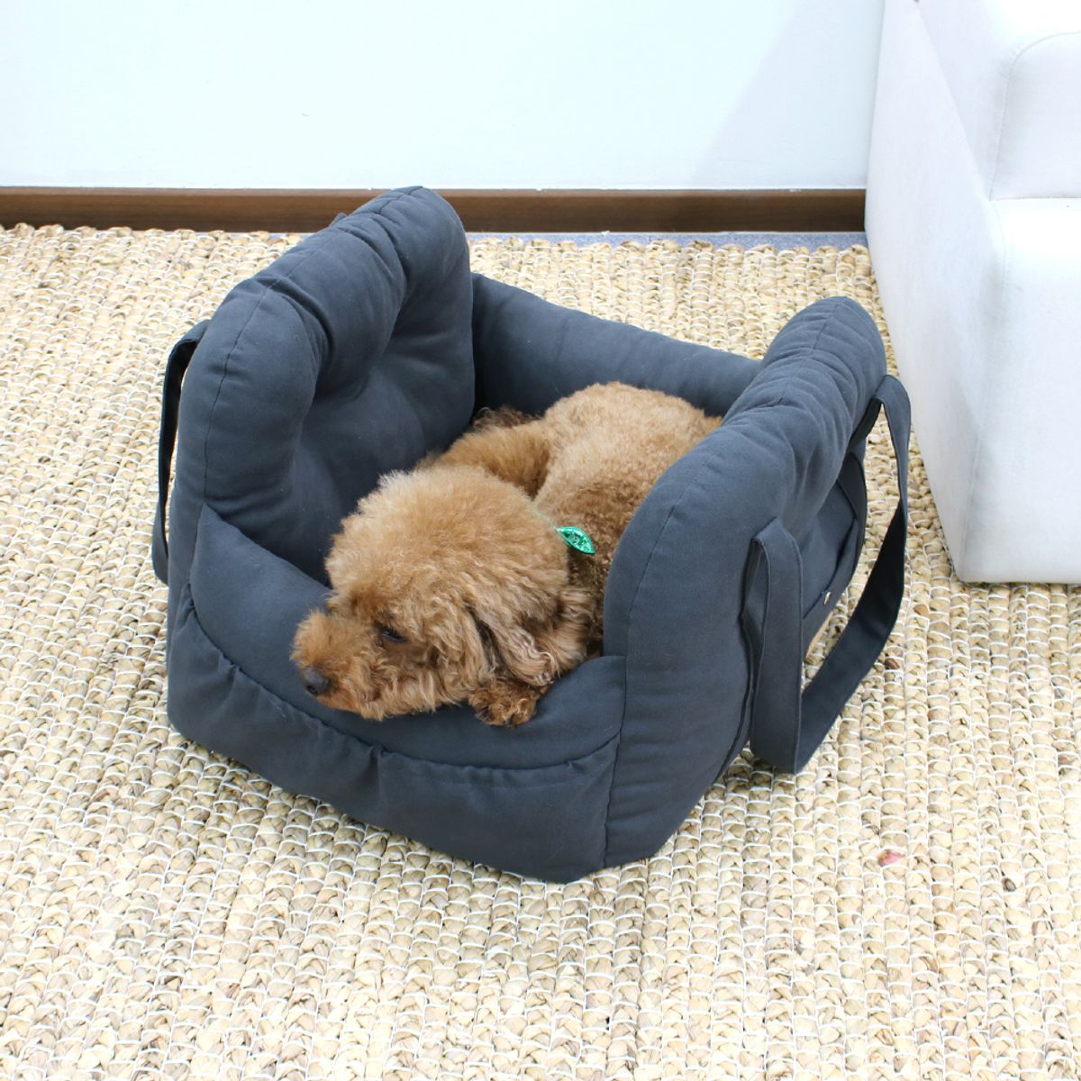 개과천선(GAEKWACHEONSUN) 멍스 강아지 카시트