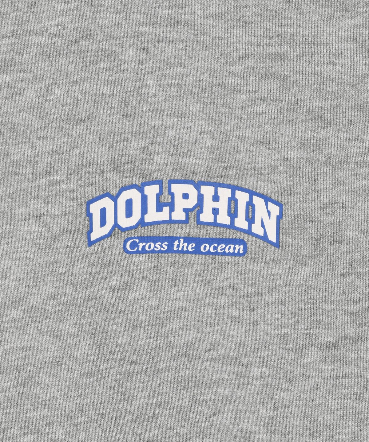 돌핀웨이브어패럴(DOLPHIN WAVE APPAREL) 돌핀 실리콘프린트 후드 멜란지그레이