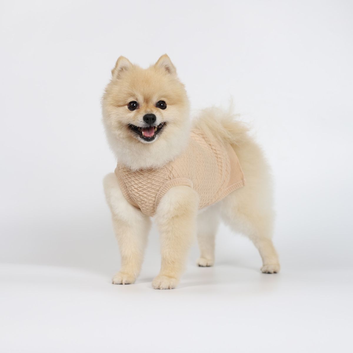 몽루(MONLOUP) 비스퀴