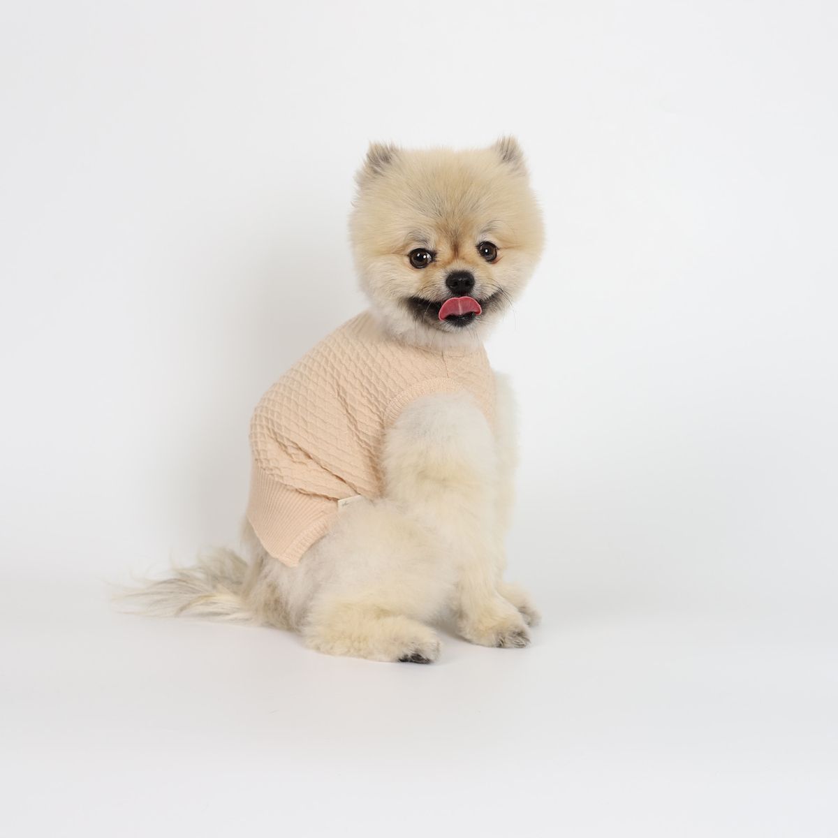 몽루(MONLOUP) 비스퀴