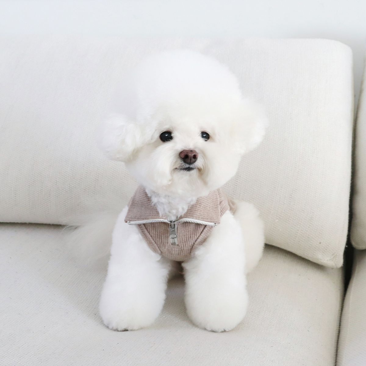 쉬오트(CHIOT) 소프트 슬리브리스 하프집업 (소프트브라운)