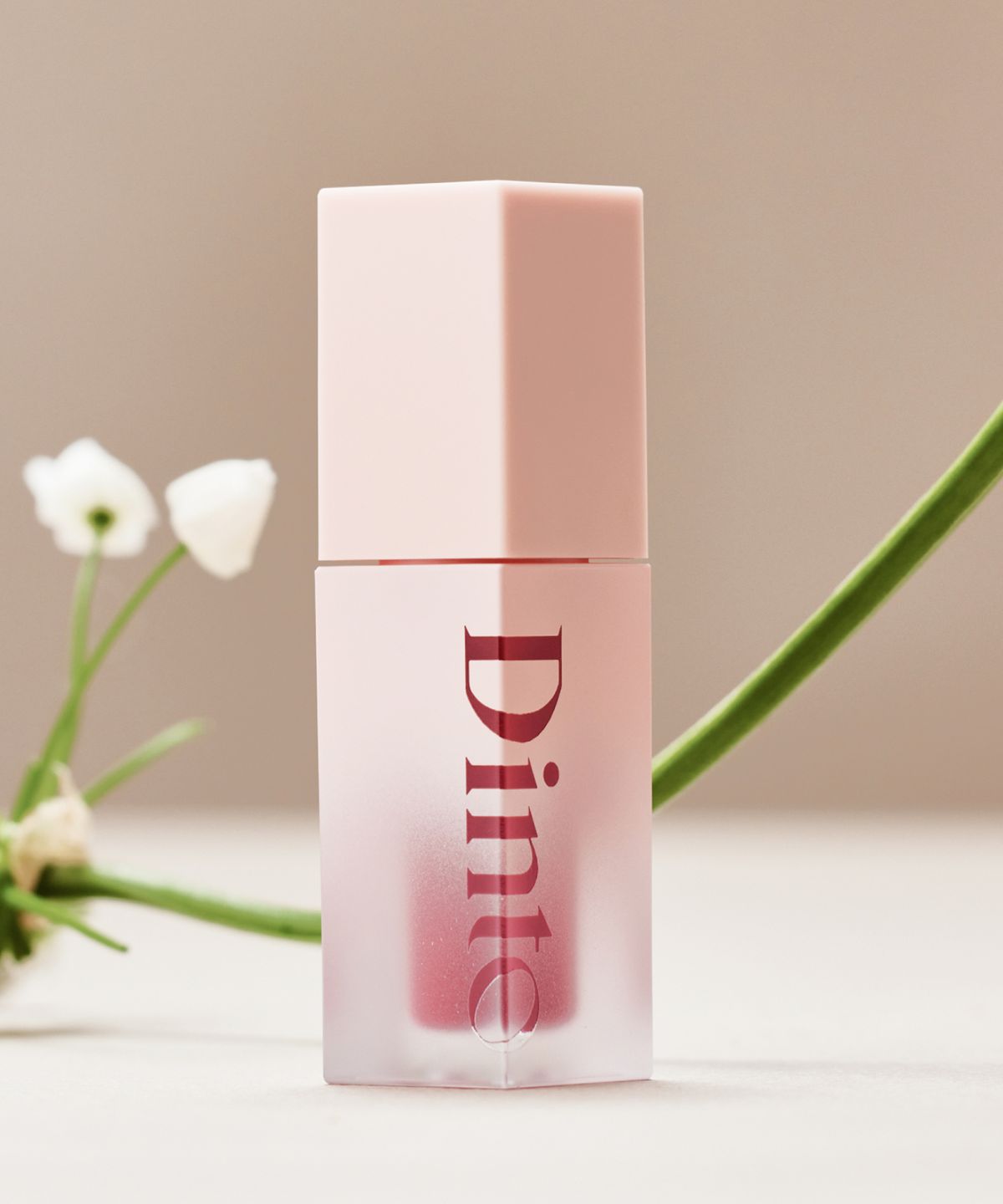 딘토(DINTO) 블러젤리 플럼핑 립 틴트